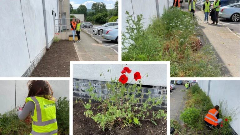 Volunteering in the Community